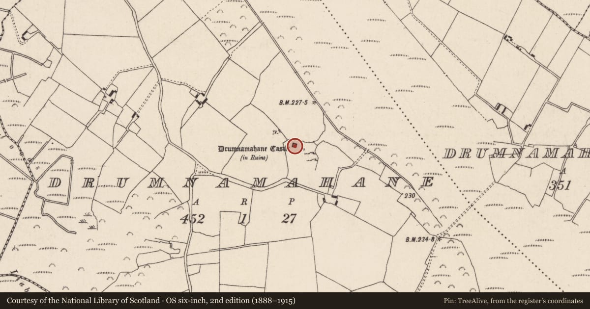 Ordnance Survey six-inch map, 2nd edition (1888–1915) covering the location of Castle - tower house, Drumnamahane, County Tipperary North, with a pin at the register's coordinates