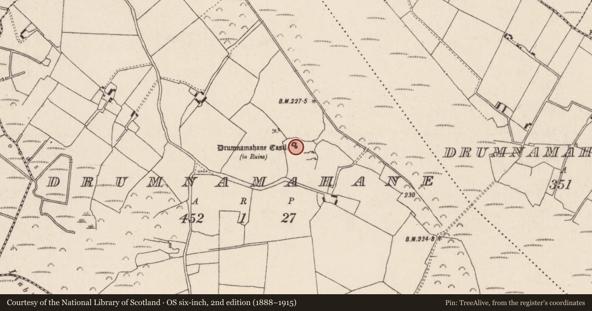Ordnance Survey six-inch map, 2nd edition (1888–1915) covering the location of Bawn, Drumnamahane, County Tipperary North, with a pin at the register's coordinates