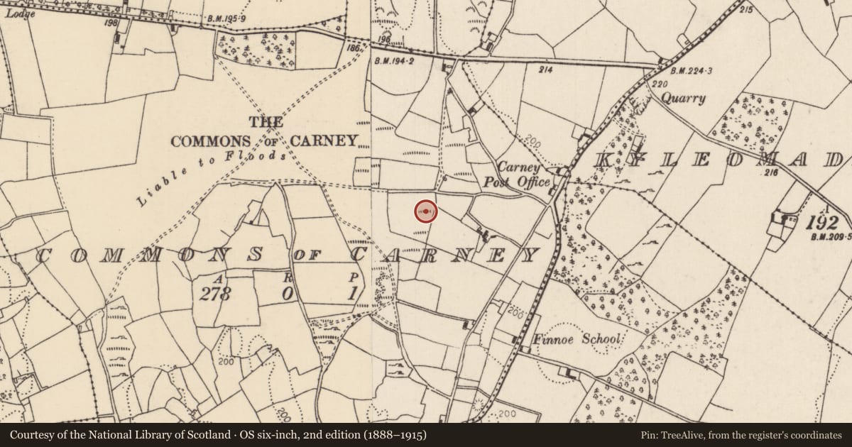 Ordnance Survey six-inch map, 2nd edition (1888–1915) covering the location of Cairn - unclassified, Carney, Commons of, County Tipperary North, with a pin at the register's coordinates