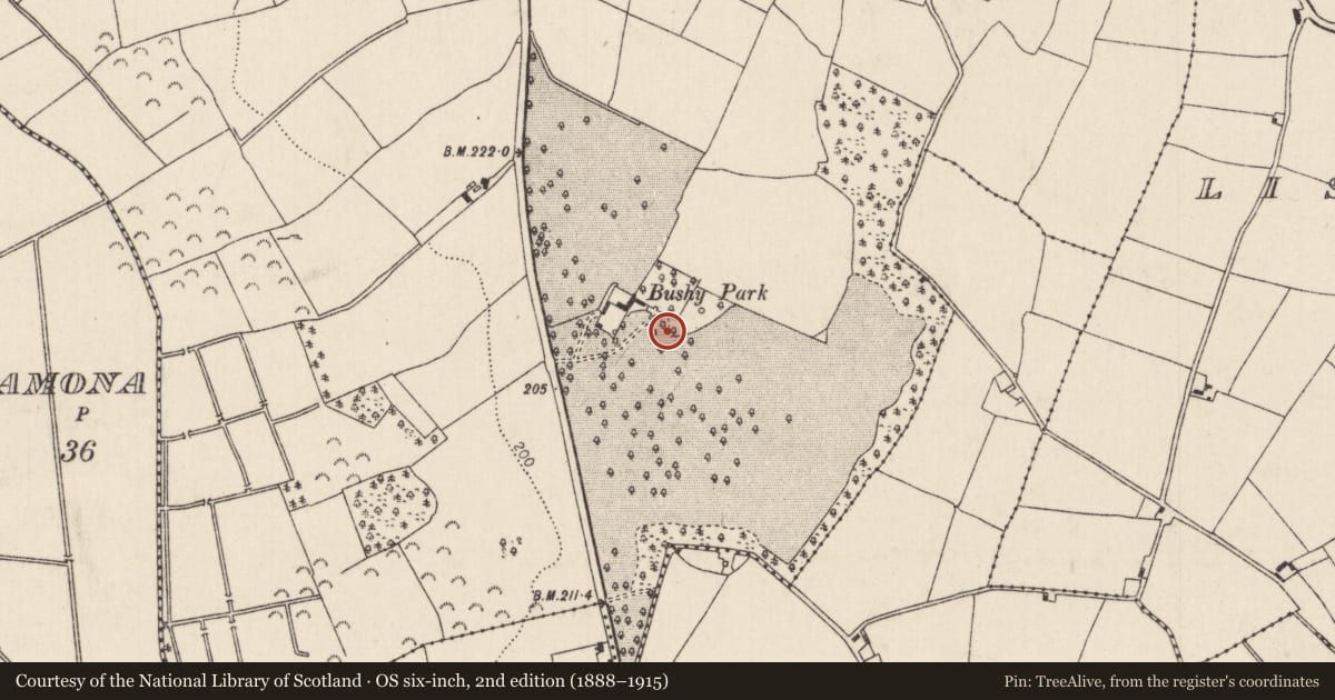 Ordnance Survey six-inch map, 2nd edition (1888–1915) covering the location of Enclosure, Shesheraghmore, County Tipperary North, with a pin at the register's coordinates