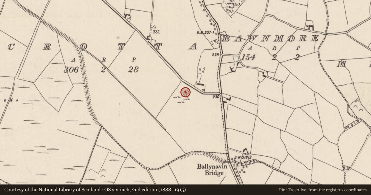 Ordnance Survey six-inch map, 2nd edition (1888–1915) covering the location of Kiln - lime, Crotta, County Tipperary North, with a pin at the register's coordinates