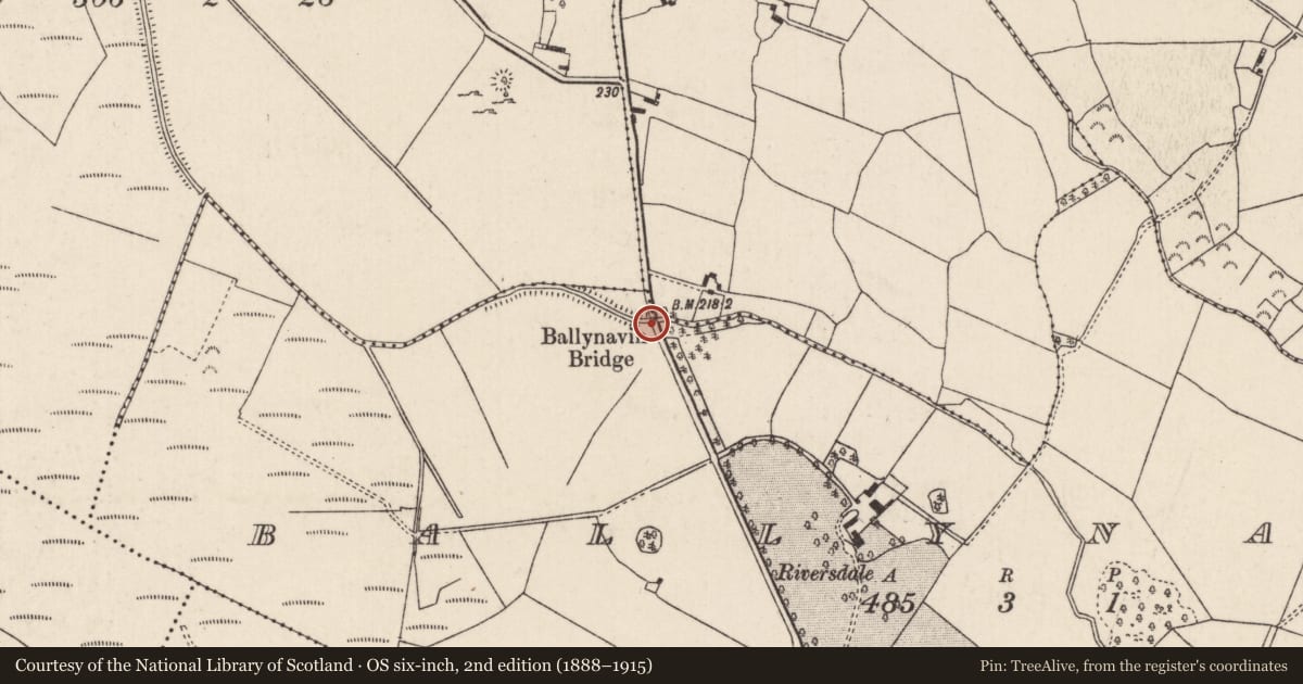 Ordnance Survey six-inch map, 2nd edition (1888–1915) covering the location of Bridge, Ballynavin, County Tipperary North, with a pin at the register's coordinates