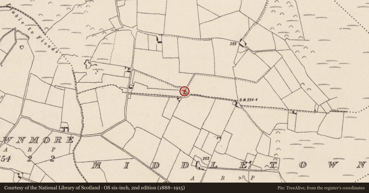 Ordnance Survey six-inch map, 2nd edition (1888–1915) covering the location of Enclosure, Drumnamahane, Middletown, County Tipperary North, with a pin at the register's coordinates