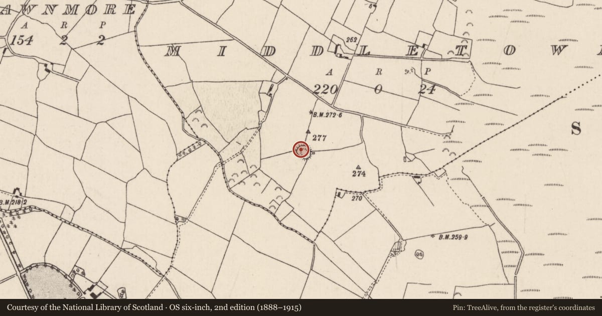 Ordnance Survey six-inch map, 2nd edition (1888–1915) covering the location of Ringfort - rath, Middletown, County Tipperary North, with a pin at the register's coordinates
