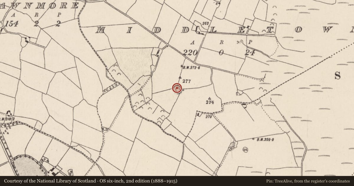 Ordnance Survey six-inch map, 2nd edition (1888–1915) covering the location of Souterrain, Middletown, County Tipperary North, with a pin at the register's coordinates