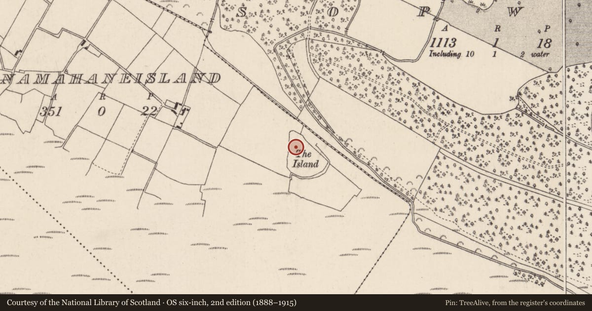 Ordnance Survey six-inch map, 2nd edition (1888–1915) covering the location of Enclosure, Drumnamahaneisland, County Tipperary North, with a pin at the register's coordinates