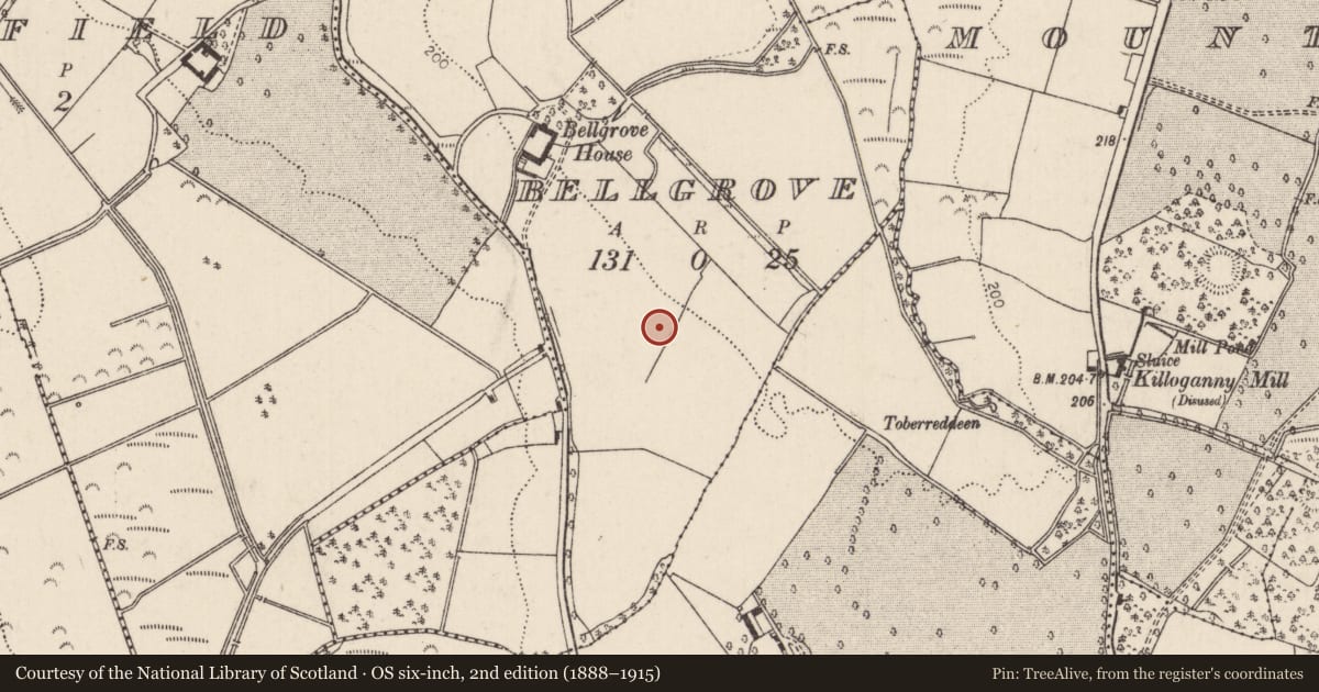 Ordnance Survey six-inch map, 2nd edition (1888–1915) covering the location of Earthwork, Bellgrove, County Tipperary North, with a pin at the register's coordinates
