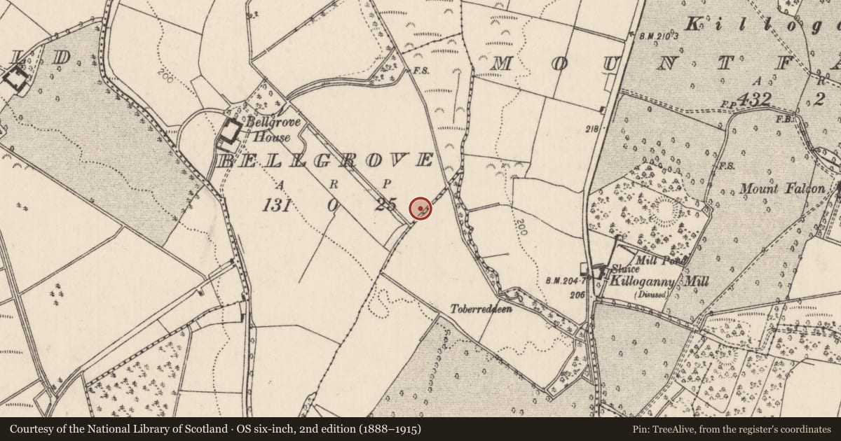 Ordnance Survey six-inch map, 2nd edition (1888–1915) covering the location of Designed landscape - tree-ring, Ballinderry (Ardcrony Par.), Bellgrove, County Tipperary North, with a pin at the register's coordinates