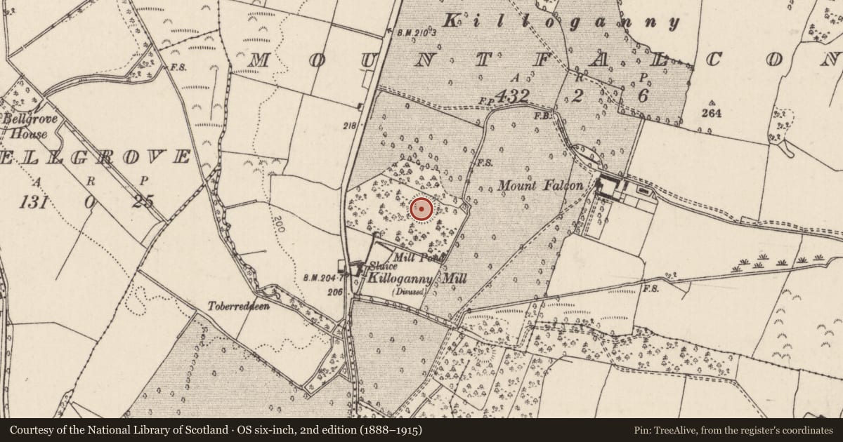 Ordnance Survey six-inch map, 2nd edition (1888–1915) covering the location of Ringfort - rath, Mountfalcon, County Tipperary North, with a pin at the register's coordinates