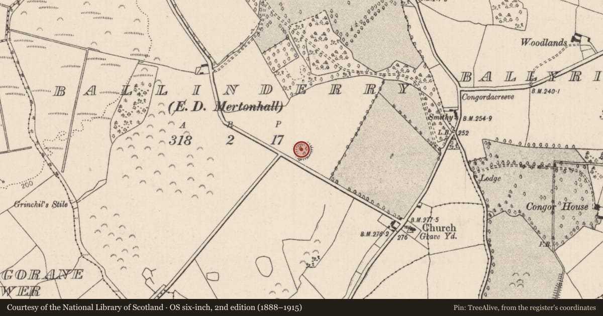 Ordnance Survey six-inch map, 2nd edition (1888–1915) covering the location of Enclosure, Ballinderry (Ardcrony Par.), County Tipperary North, with a pin at the register's coordinates