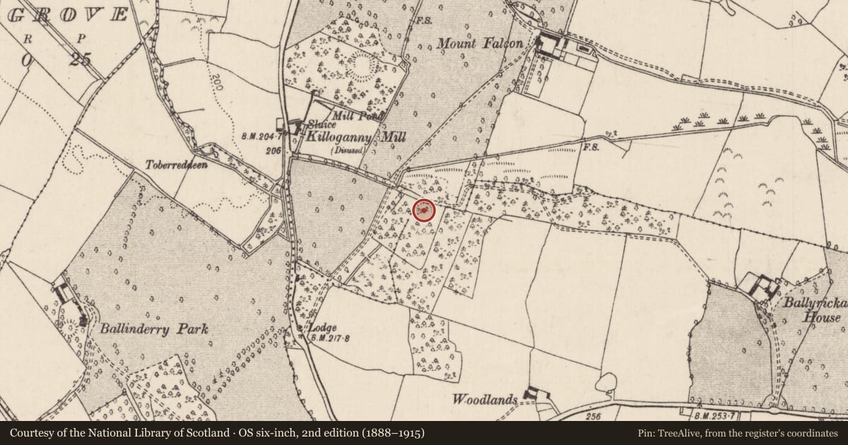 Ordnance Survey six-inch map, 2nd edition (1888–1915) covering the location of Enclosure, Ballyrickard North, Mountfalcon, County Tipperary North, with a pin at the register's coordinates