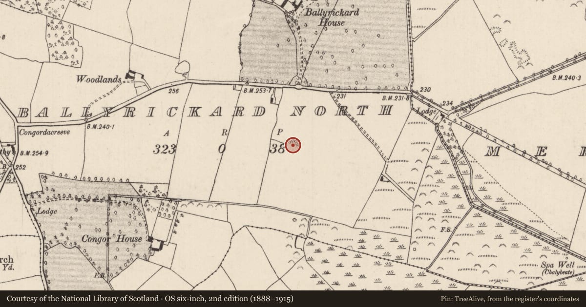 Ordnance Survey six-inch map, 2nd edition (1888–1915) covering the location of Enclosure, Ballyrickard North, County Tipperary North, with a pin at the register's coordinates