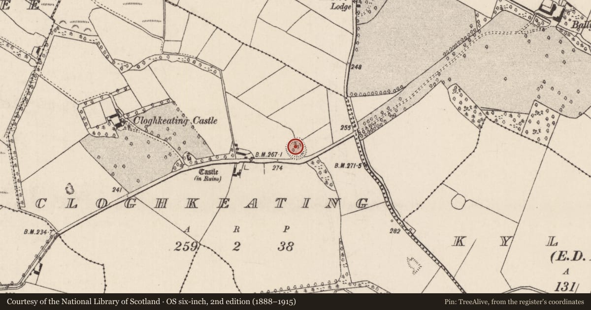 Ordnance Survey six-inch map, 2nd edition (1888–1915) covering the location of Ringfort - rath, Cloghkeating, County Tipperary North, with a pin at the register's coordinates