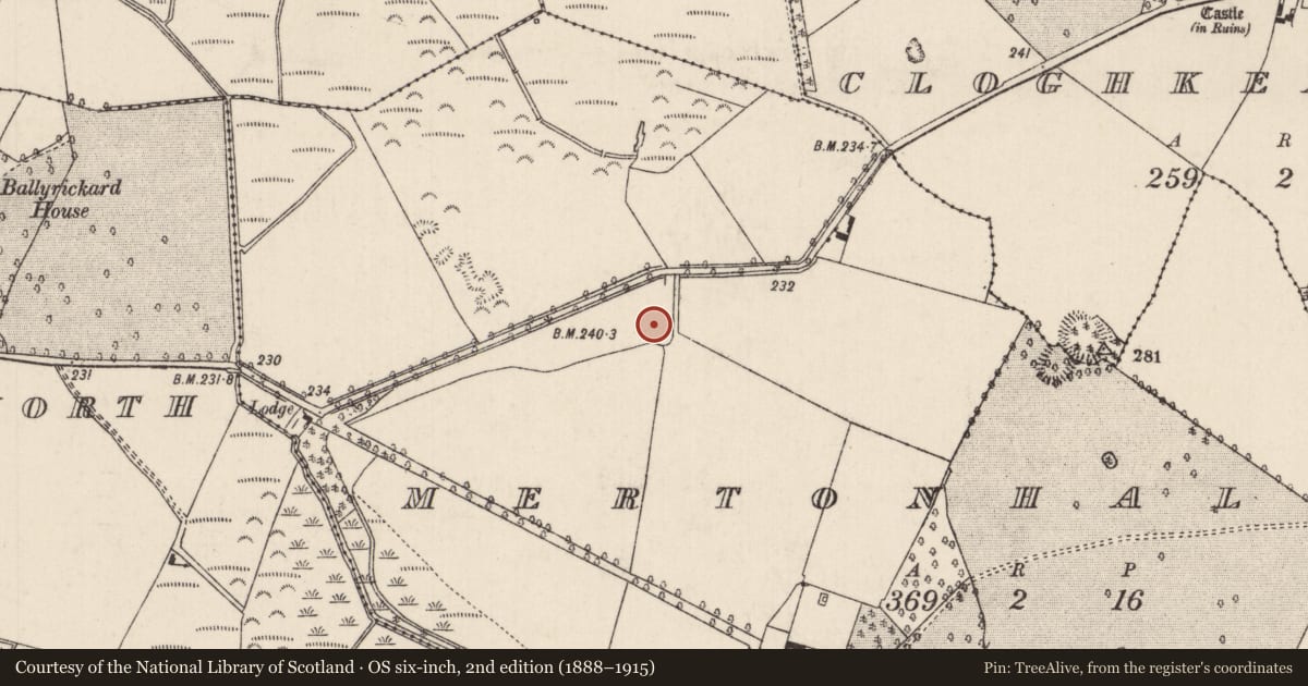 Ordnance Survey six-inch map, 2nd edition (1888–1915) covering the location of Enclosure, Mertonhall, County Tipperary North, with a pin at the register's coordinates