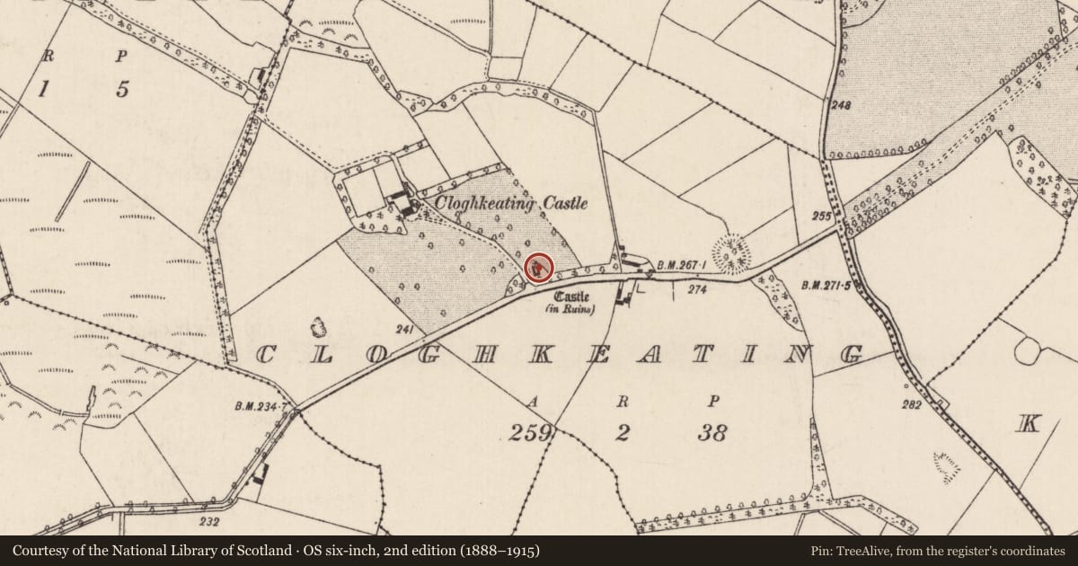 Ordnance Survey six-inch map, 2nd edition (1888–1915) covering the location of Bawn, Cloghkeating, County Tipperary North, with a pin at the register's coordinates