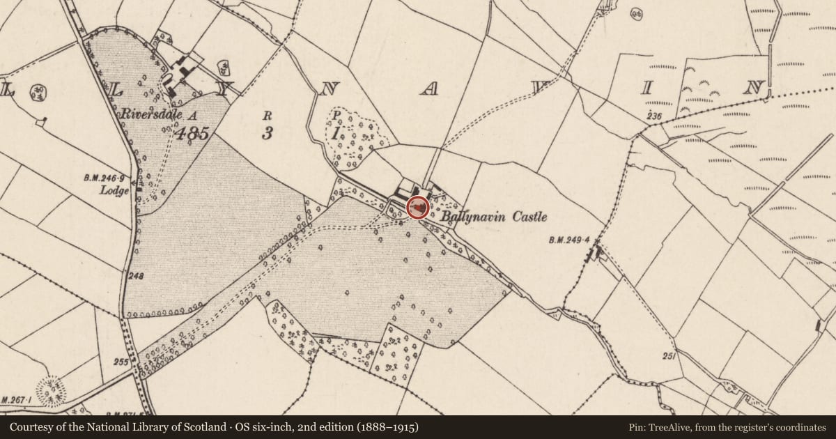 Ordnance Survey six-inch map, 2nd edition (1888–1915) covering the location of Castle - unclassified, Ballynavin, County Tipperary North, with a pin at the register's coordinates