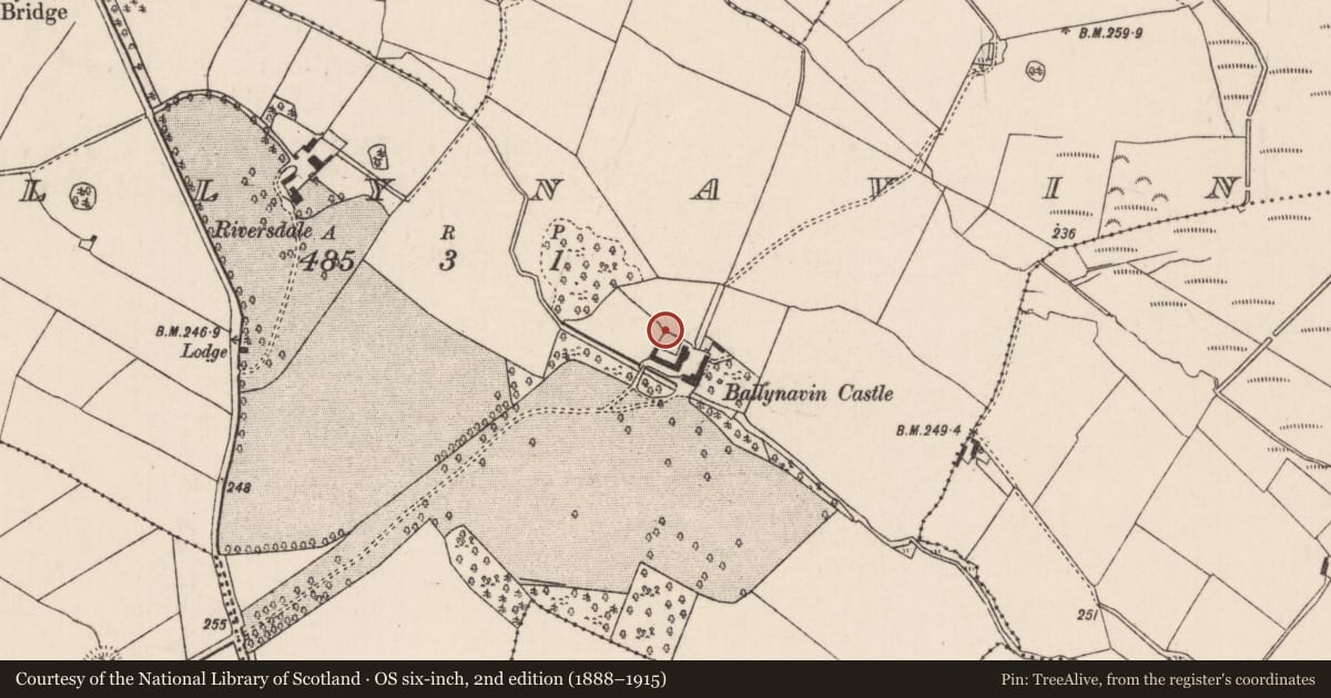 Ordnance Survey six-inch map, 2nd edition (1888–1915) covering the location of Bullaun stone, Ballynavin, County Tipperary North, with a pin at the register's coordinates