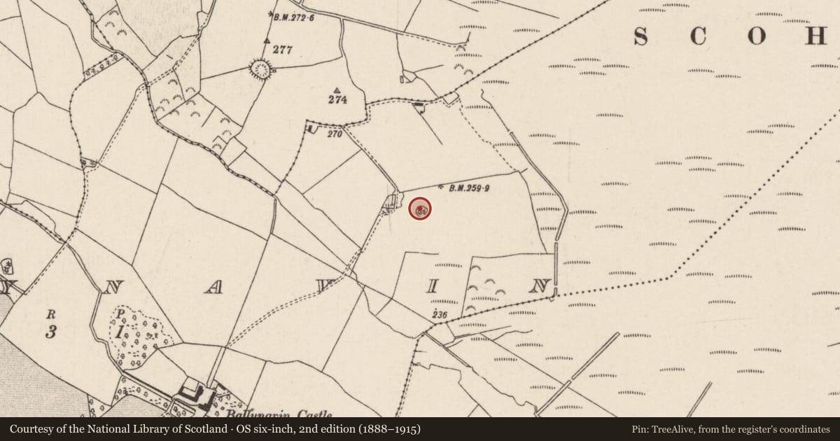 Ordnance Survey six-inch map, 2nd edition (1888–1915) covering the location of Enclosure, Ballynavin, County Tipperary North, with a pin at the register's coordinates