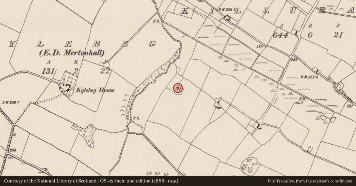 Ordnance Survey six-inch map, 2nd edition (1888–1915) covering the location of Moated site, Killurane, County Tipperary North, with a pin at the register's coordinates