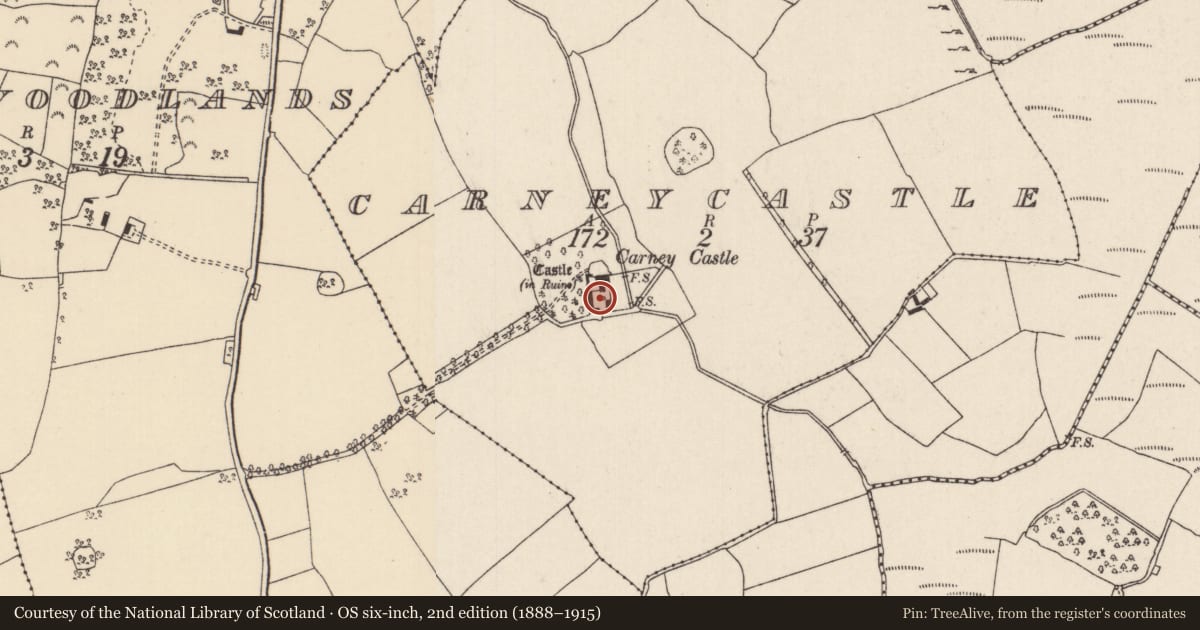 Ordnance Survey six-inch map, 2nd edition (1888–1915) covering the location of Bawn, Carneycastle, County Tipperary North, with a pin at the register's coordinates
