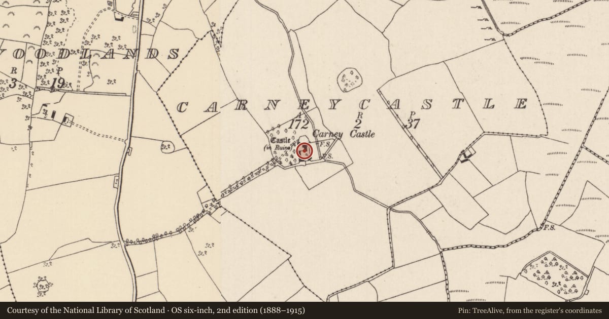 Ordnance Survey six-inch map, 2nd edition (1888–1915) covering the location of Settlement deserted - medieval, Carneycastle, County Tipperary North, with a pin at the register's coordinates