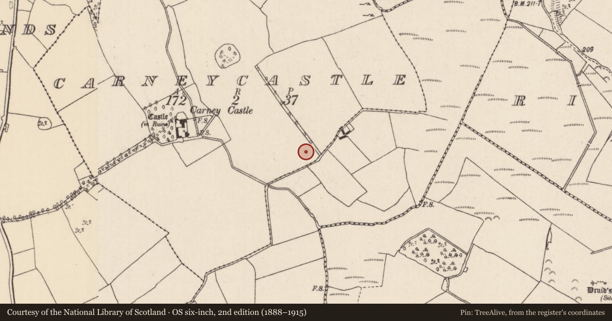 Ordnance Survey six-inch map, 2nd edition (1888–1915) covering the location of Enclosure, Carneycastle, County Tipperary North, with a pin at the register's coordinates