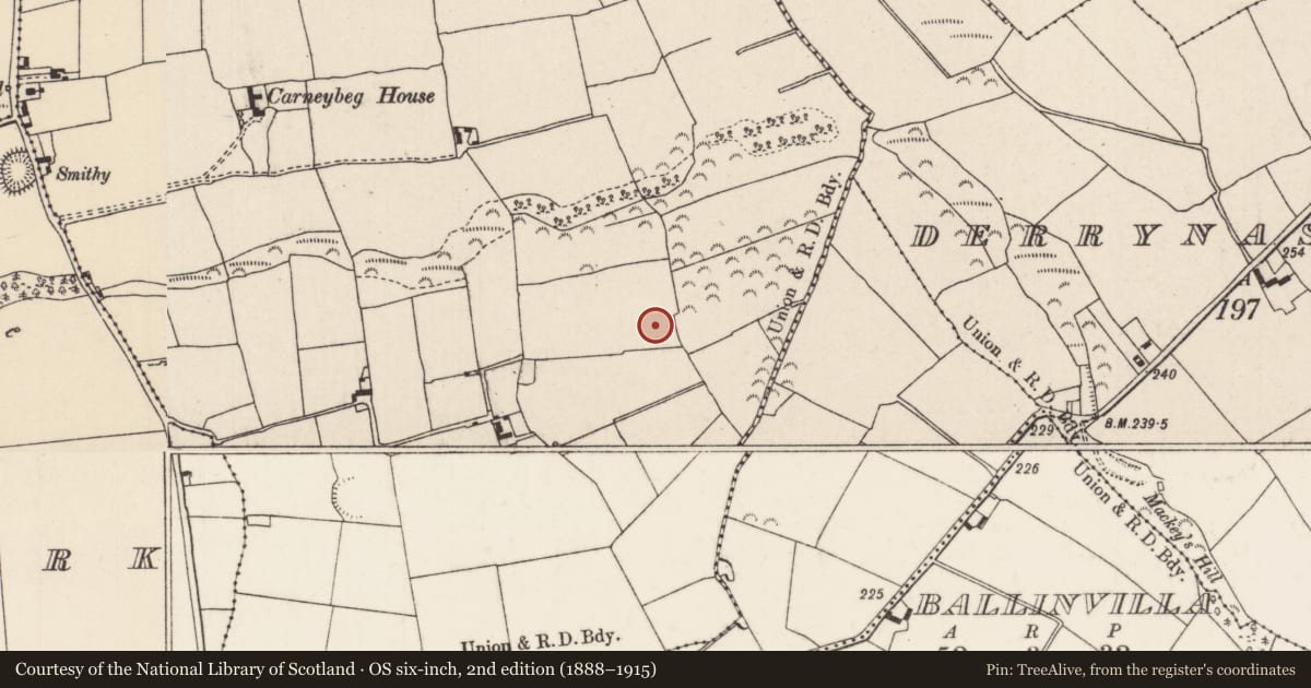 Ordnance Survey six-inch map, 2nd edition (1888–1915) covering the location of Moated site, Carneybeg, County Tipperary North, with a pin at the register's coordinates