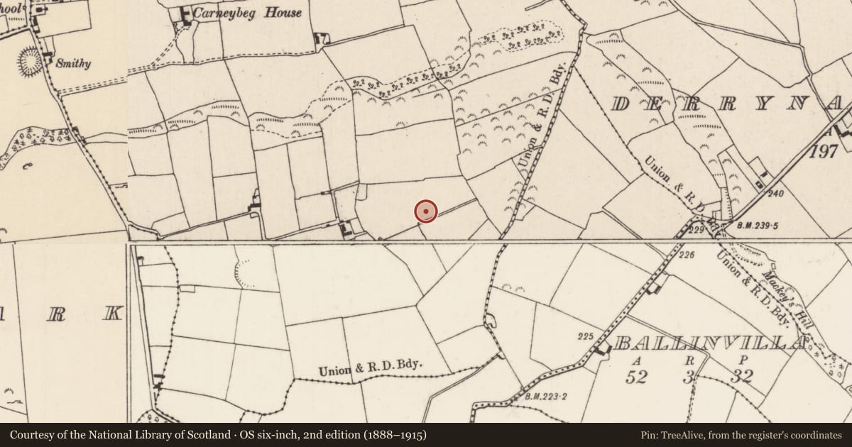 Ordnance Survey six-inch map, 2nd edition (1888–1915) covering the location of Enclosure, Carneybeg, County Tipperary North, with a pin at the register's coordinates