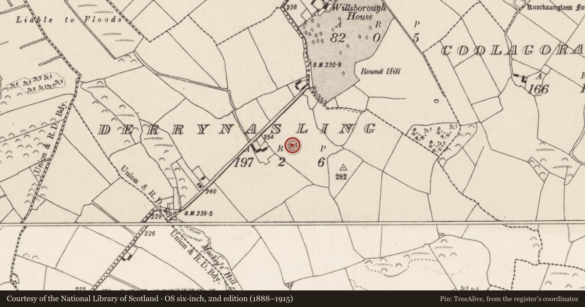 Ordnance Survey six-inch map, 2nd edition (1888–1915) covering the location of Ringfort - rath, Derrynasling, County Tipperary North, with a pin at the register's coordinates