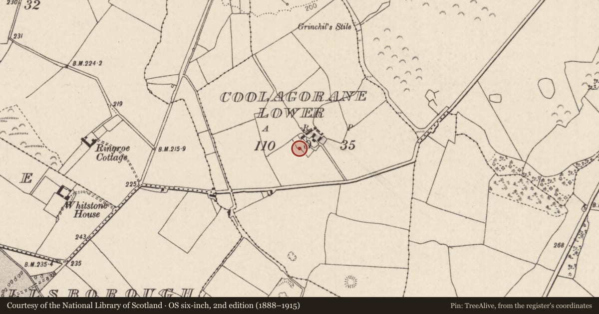 Ordnance Survey six-inch map, 2nd edition (1888–1915) covering the location of Enclosure, Coolagorane Lower, County Tipperary North, with a pin at the register's coordinates