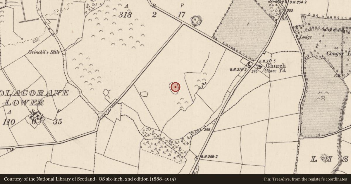 Ordnance Survey six-inch map, 2nd edition (1888–1915) covering the location of Designed landscape - tree-ring, Ballinderry (Ardcrony Par.), County Tipperary North, with a pin at the register's coordinates