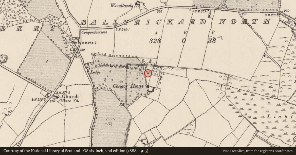 Ordnance Survey six-inch map, 2nd edition (1888–1915) covering the location of Barrow - bowl-barrow, Ballyrickard North, County Tipperary North, with a pin at the register's coordinates