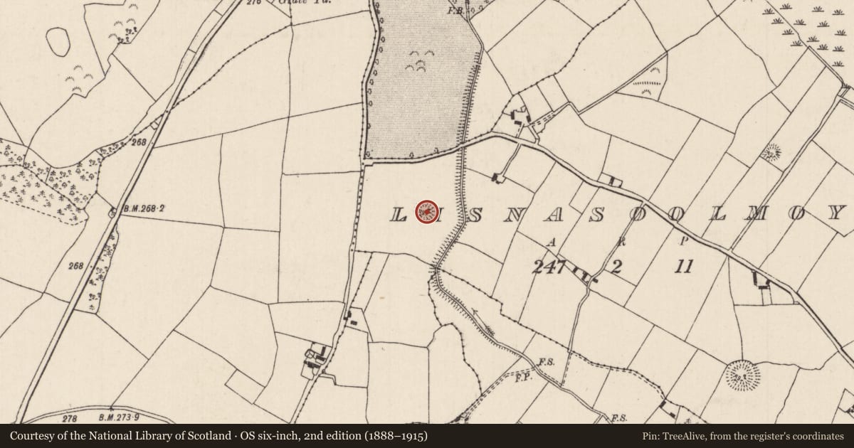 Ordnance Survey six-inch map, 2nd edition (1888–1915) covering the location of Enclosure, Lisnasoolmoy, County Tipperary North, with a pin at the register's coordinates