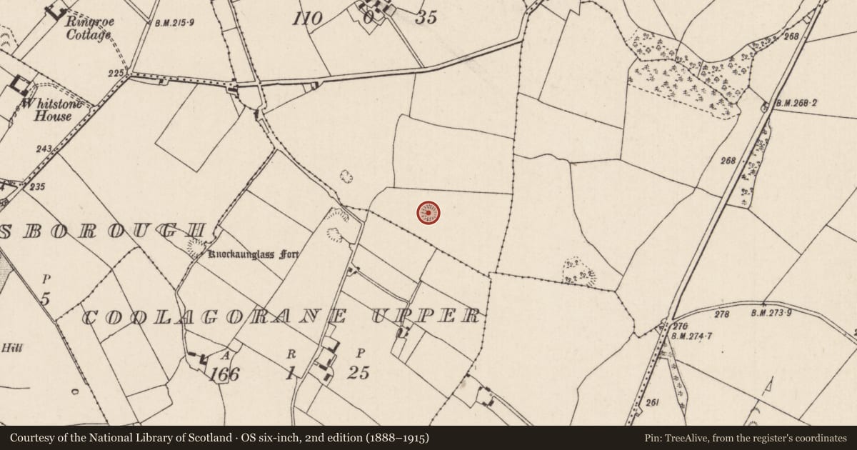 Ordnance Survey six-inch map, 2nd edition (1888–1915) covering the location of Enclosure, Coolagorane Lower, County Tipperary North, with a pin at the register's coordinates