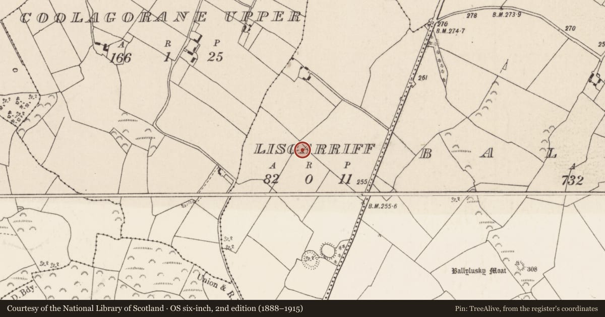 Ordnance Survey six-inch map, 2nd edition (1888–1915) covering the location of Megalithic tomb - unclassified, Lisgarriff (Ardcrony Par.), County Tipperary North, with a pin at the register's coordinates
