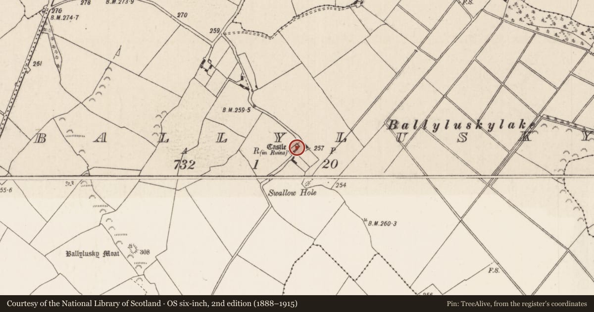 Ordnance Survey six-inch map, 2nd edition (1888–1915) covering the location of Castle - hall-house, Ballylusky (Ardcrony Par.), County Tipperary North, with a pin at the register's coordinates