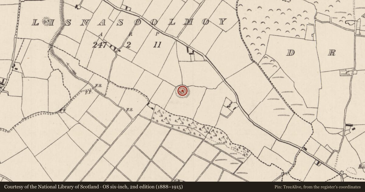 Ordnance Survey six-inch map, 2nd edition (1888–1915) covering the location of Enclosure, Lisnasoolmoy, County Tipperary North, with a pin at the register's coordinates