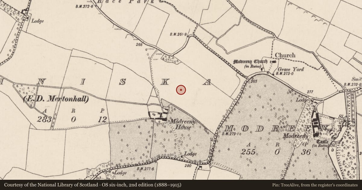 Ordnance Survey six-inch map, 2nd edition (1888–1915) covering the location of Enclosure, Eminiska (Modreeny Par.), County Tipperary North, with a pin at the register's coordinates