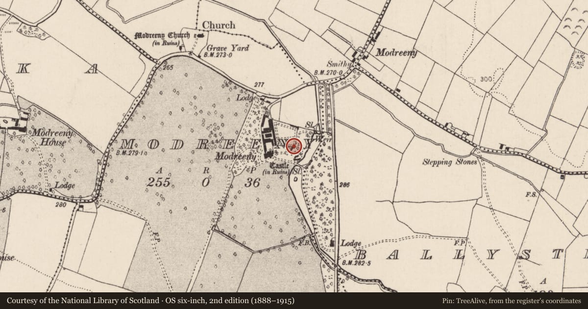 Ordnance Survey six-inch map, 2nd edition (1888–1915) covering the location of Bawn, Modreeny, County Tipperary North, with a pin at the register's coordinates