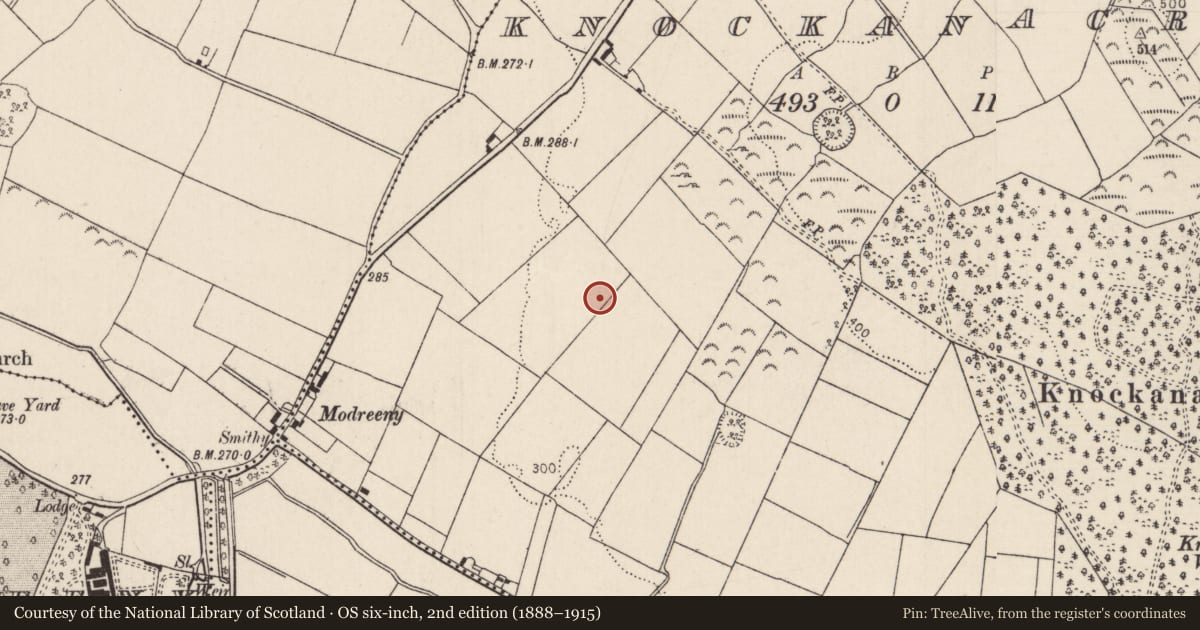 Ordnance Survey six-inch map, 2nd edition (1888–1915) covering the location of Enclosure, Knockanacree, County Tipperary North, with a pin at the register's coordinates