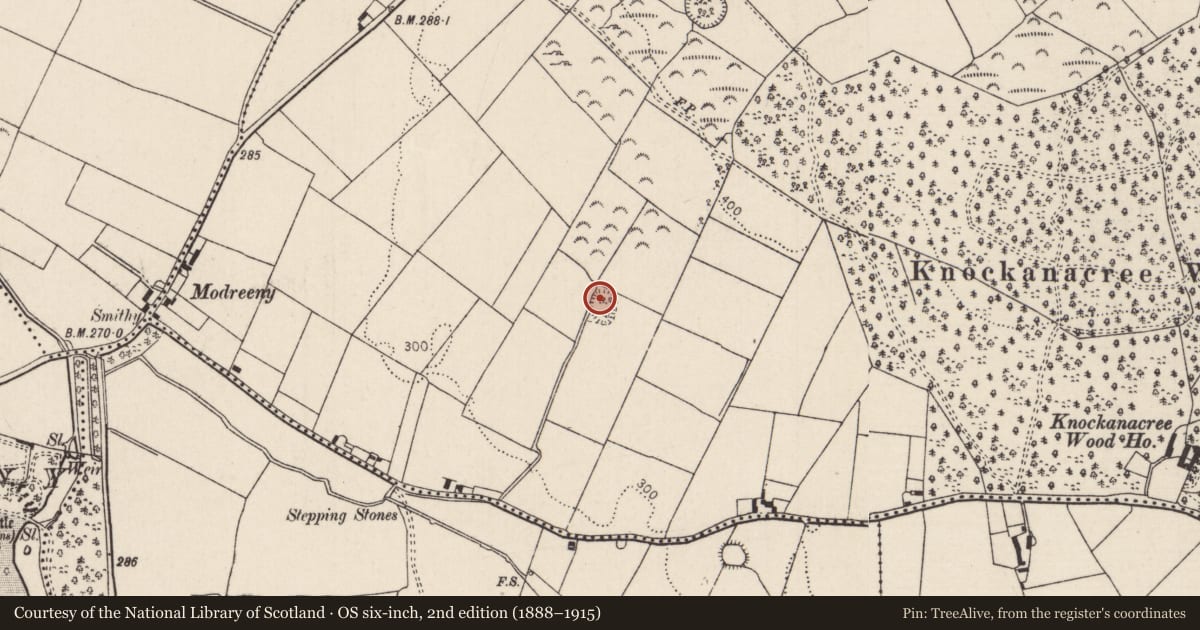 Ordnance Survey six-inch map, 2nd edition (1888–1915) covering the location of Ringfort - rath, Knockanacree, County Tipperary North, with a pin at the register's coordinates
