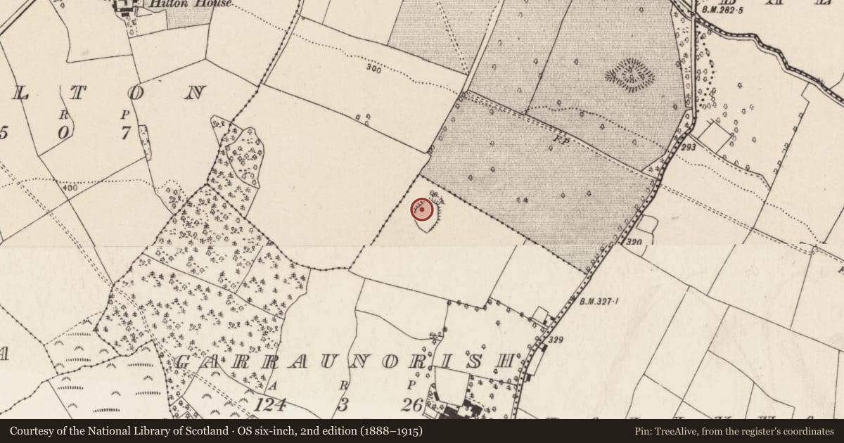 Ordnance Survey six-inch map, 2nd edition (1888–1915) covering the location of Ringfort - rath, Garraunorish, County Tipperary North, with a pin at the register's coordinates