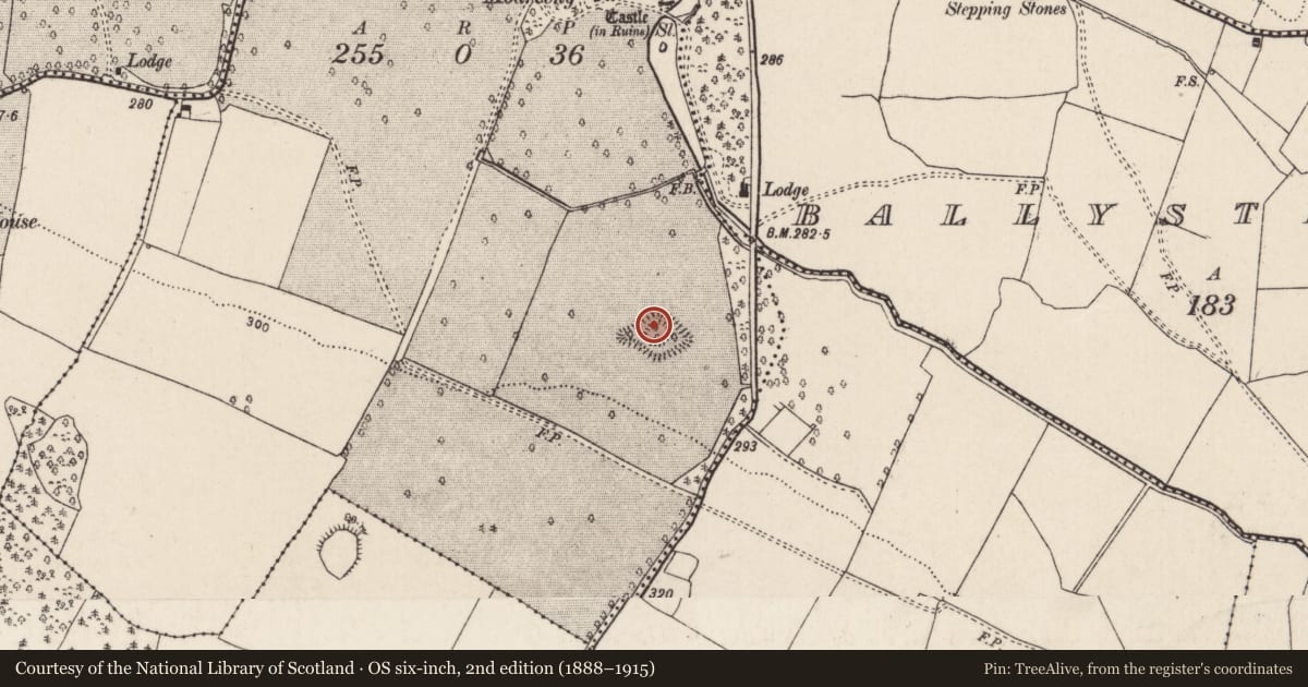 Ordnance Survey six-inch map, 2nd edition (1888–1915) covering the location of Moated site, Modreeny, County Tipperary North, with a pin at the register's coordinates