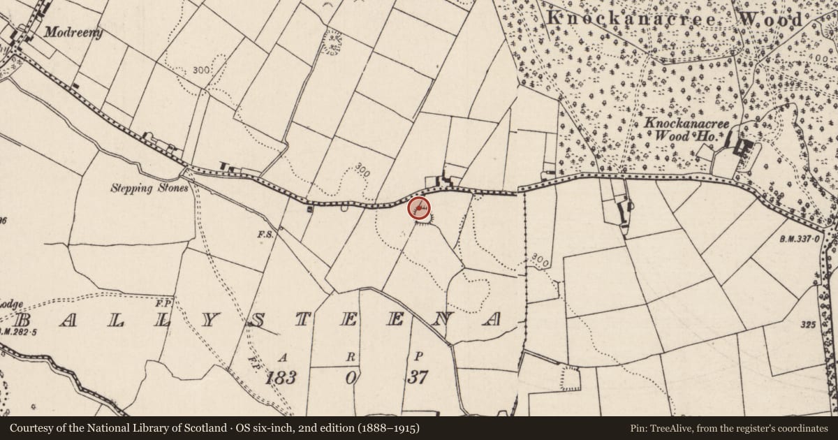 Ordnance Survey six-inch map, 2nd edition (1888–1915) covering the location of Ringfort - rath, Ballysteena, County Tipperary North, with a pin at the register's coordinates