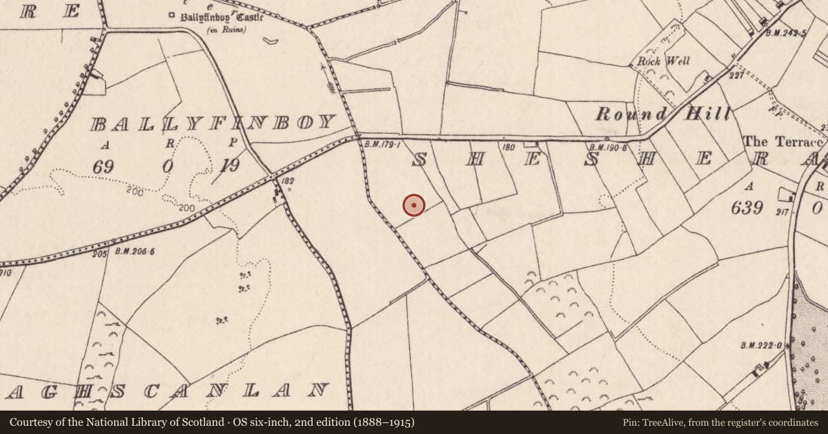 Ordnance Survey six-inch map, 2nd edition (1888–1915) covering the location of Fulacht fia, Shesheraghmore, County Tipperary North, with a pin at the register's coordinates