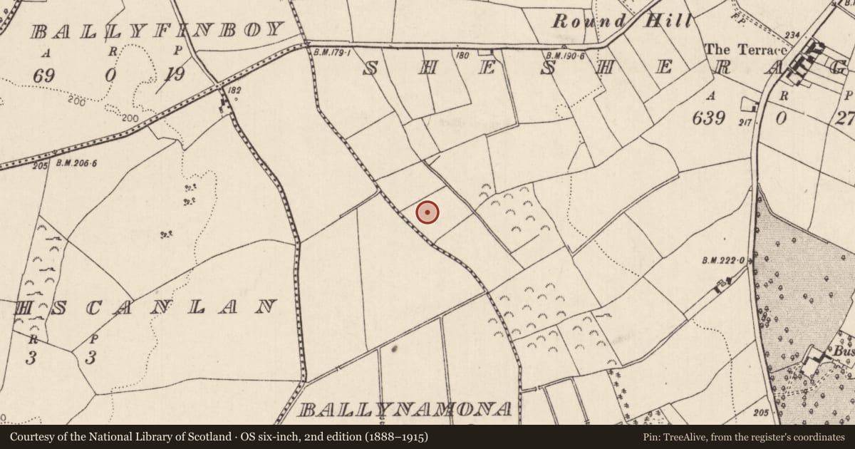 Ordnance Survey six-inch map, 2nd edition (1888–1915) covering the location of Fulacht fia, Shesheraghmore, County Tipperary North, with a pin at the register's coordinates