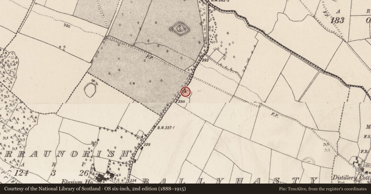 Ordnance Survey six-inch map, 2nd edition (1888–1915) covering the location of Moated site, Ballyhasty, County Tipperary North, with a pin at the register's coordinates