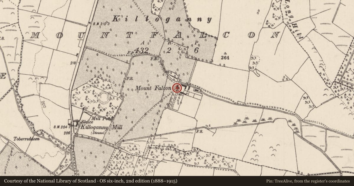 Ordnance Survey six-inch map, 2nd edition (1888–1915) covering the location of House - 18th/19th century, Mountfalcon, County Tipperary North, with a pin at the register's coordinates