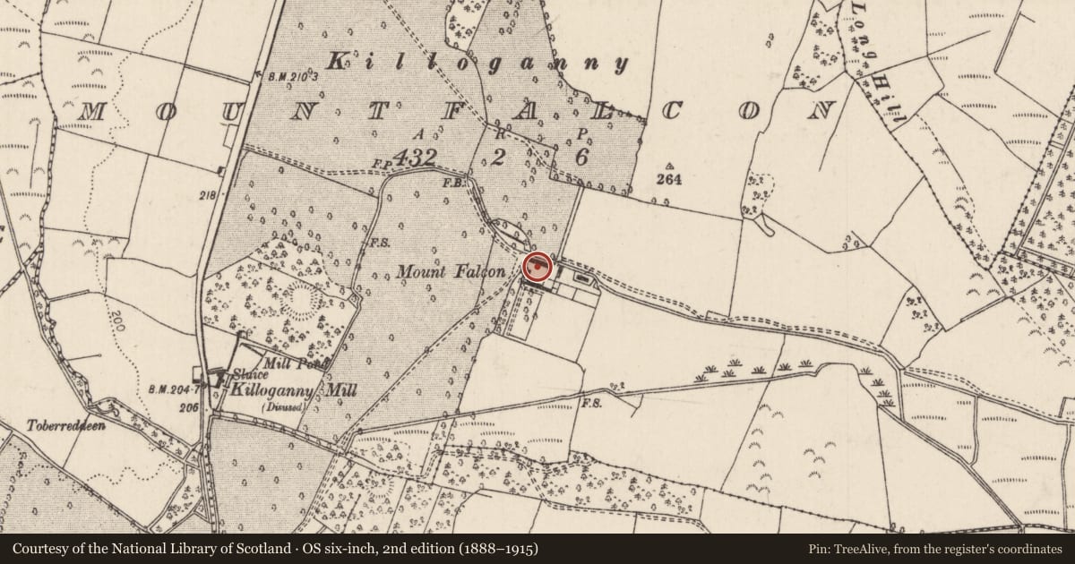 Ordnance Survey six-inch map, 2nd edition (1888–1915) covering the location of Courtyard, Mountfalcon, County Tipperary North, with a pin at the register's coordinates