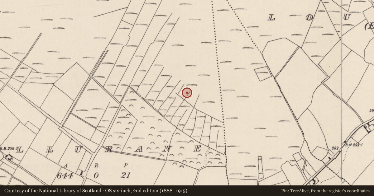 Ordnance Survey six-inch map, 2nd edition (1888–1915) covering the location of Enclosure, Killurane, County Tipperary North, with a pin at the register's coordinates